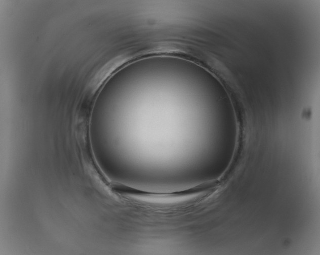 X0000112091177200908111345