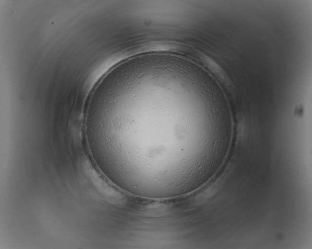 X0000112091178200908111345