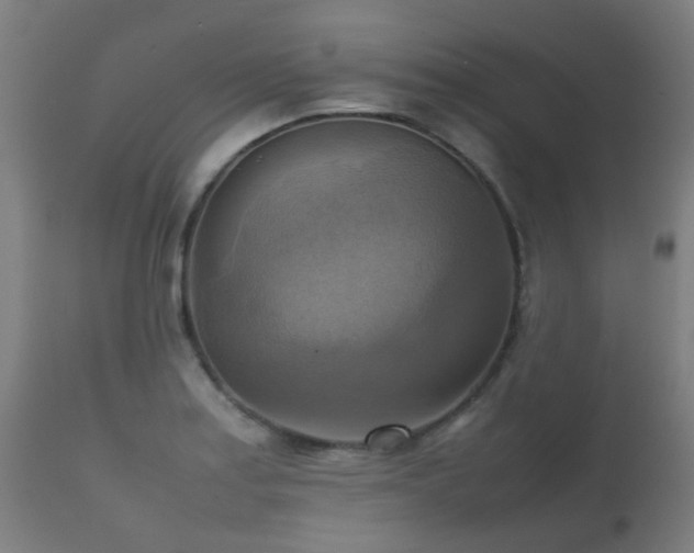 X0000112091179200908111345