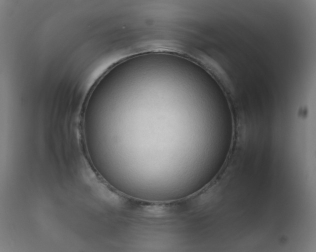 X0000112091182200908111345