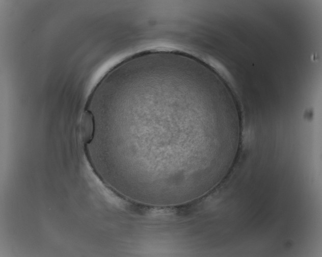 X0000112091183200908111345