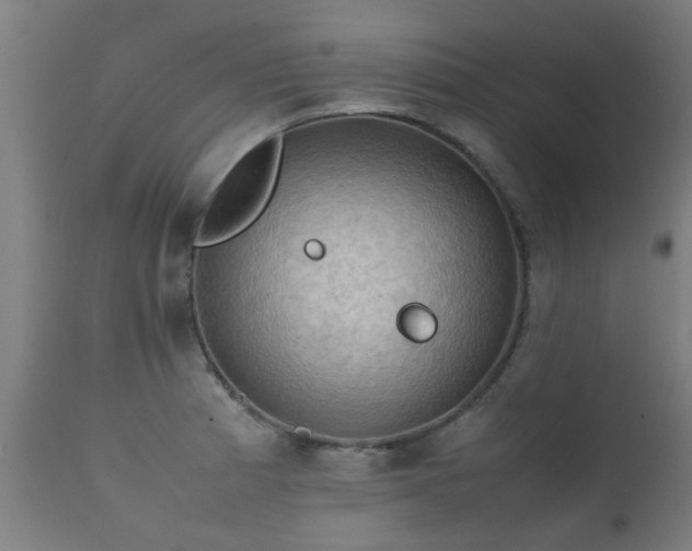 X0000112091185200908111345