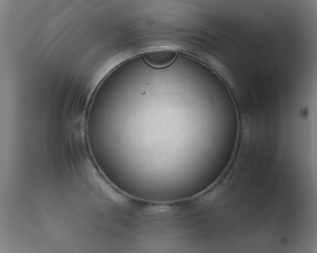 X0000112091186200908111345