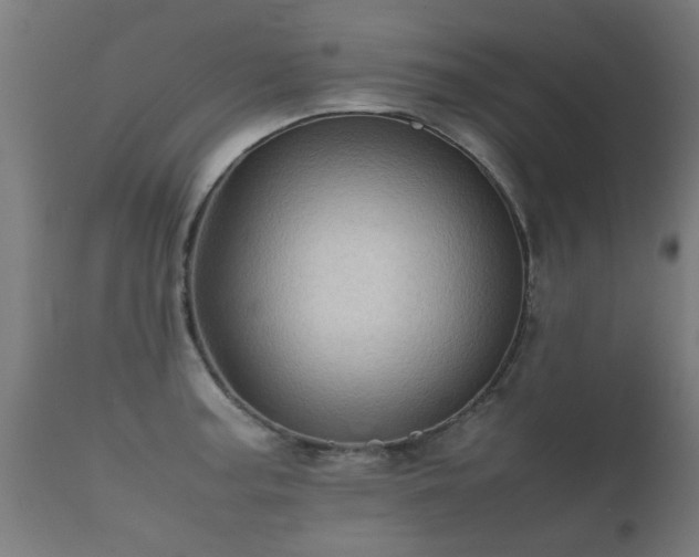 X0000112091187200908111345