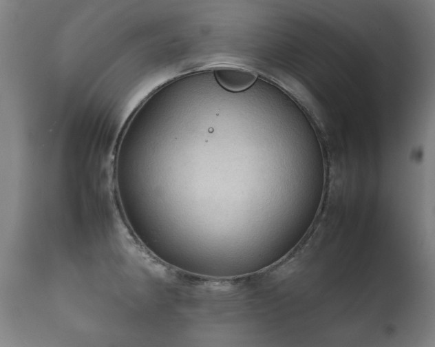 X0000112091190200908111345