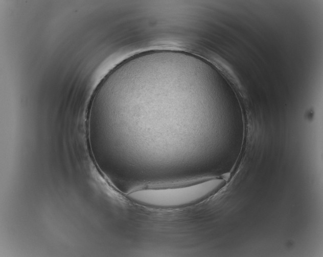 X0000112091192200908111345