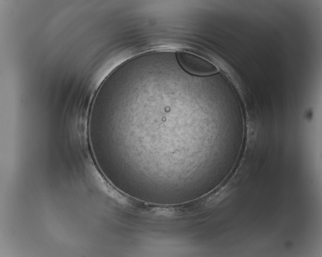 X0000112091194200908111345