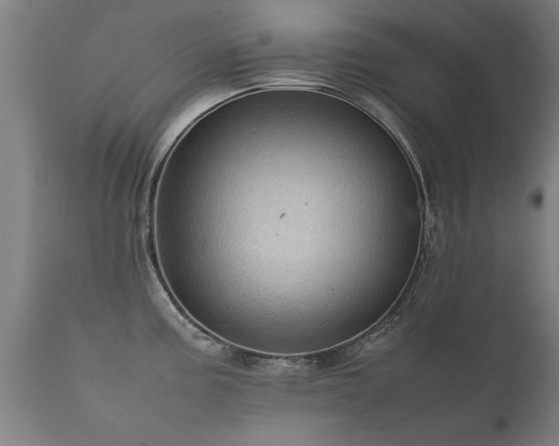 X0000112091195200908111345