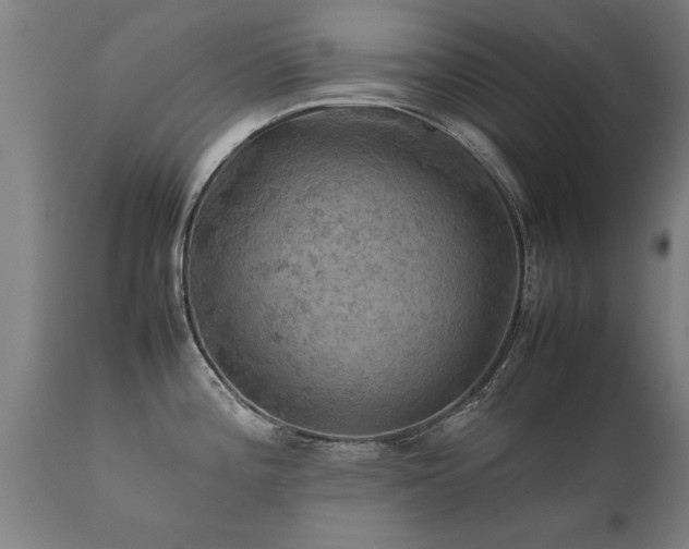 X0000112091196200908111345