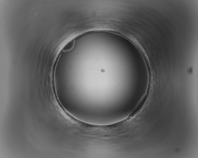 X0000112091197200908111345