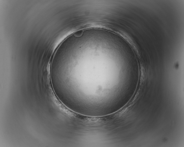 X0000112091198200908111345