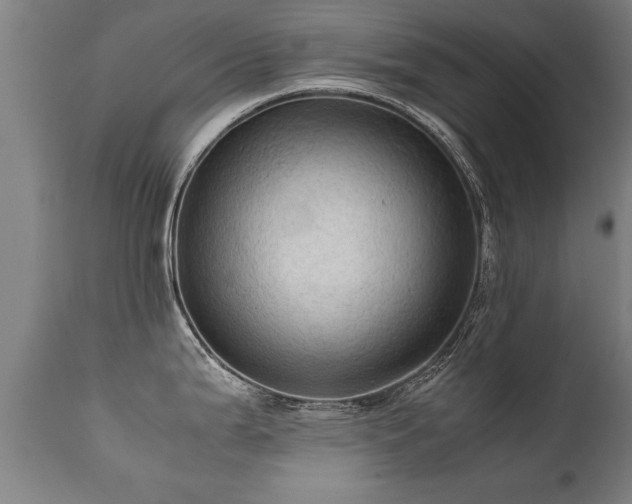 X0000112091199200908111345