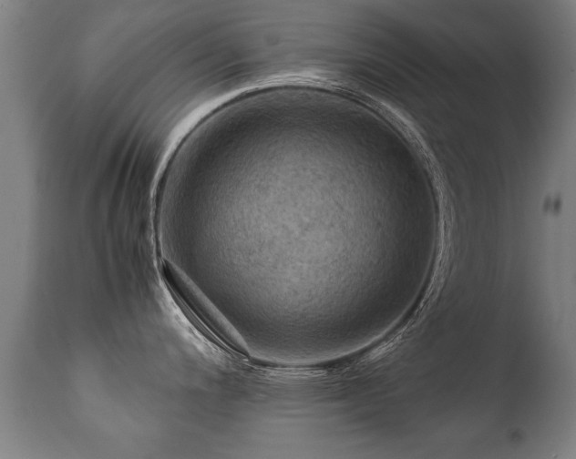 X0000112091200200908111345