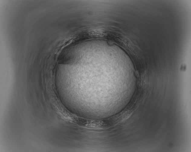 X0000112091201200908111344