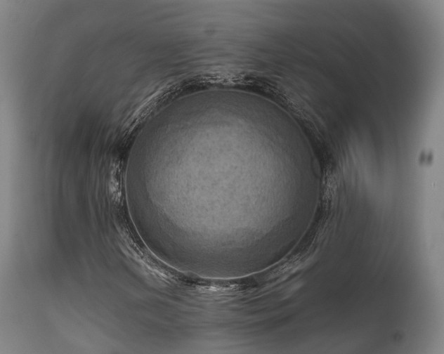 X0000112091202200908111344