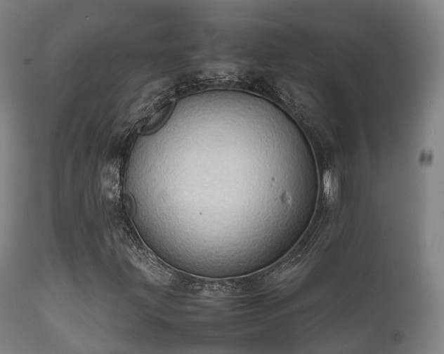 X0000112091203200908111344