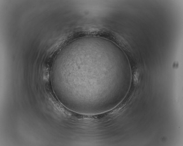 X0000112091204200908111344