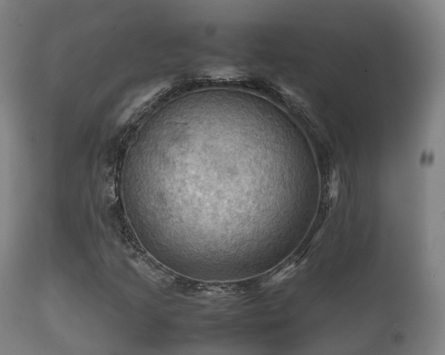 X0000112091205200908111344