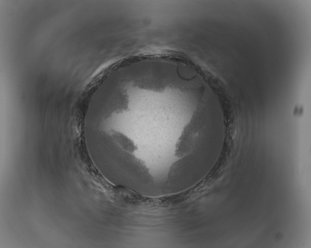 X0000112091206200908111344