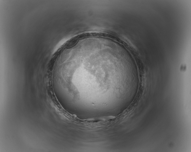 X0000112091208200908111344