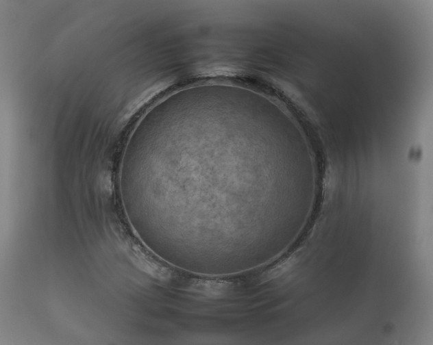 X0000112091209200908111344