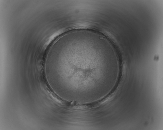 X0000112091210200908111344