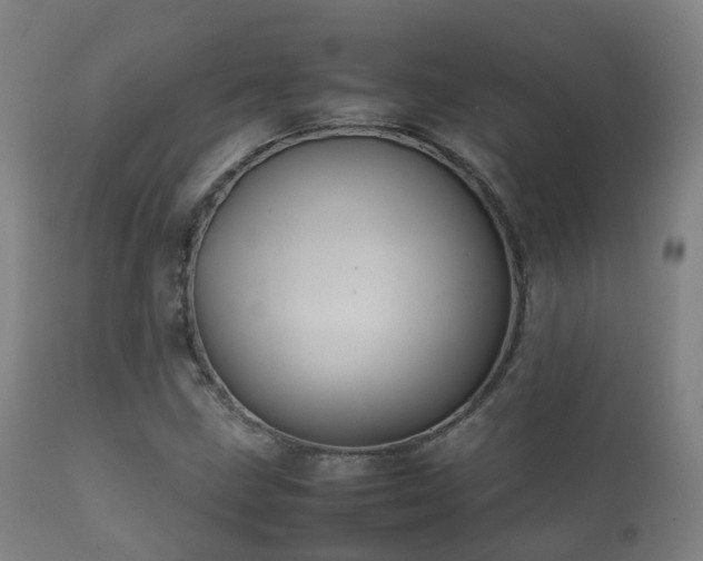 X0000112091211200908111344