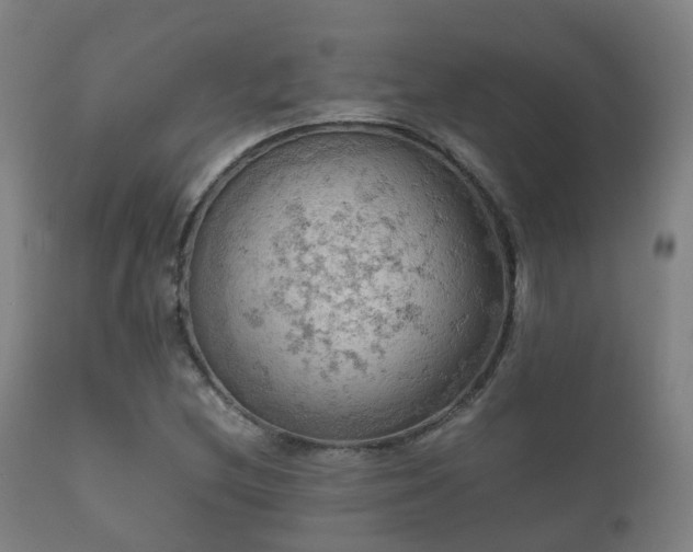 X0000112091212200908111344