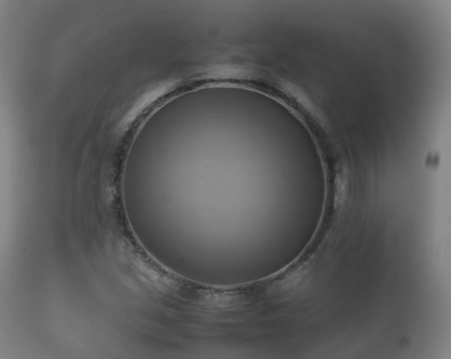 X0000112091213200908111344