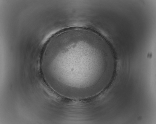 X0000112091214200908111344