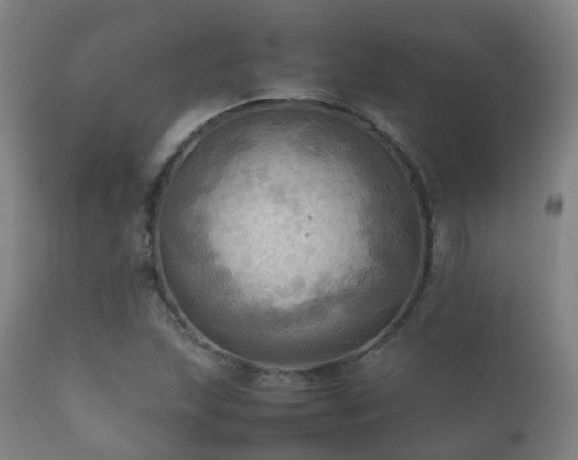 X0000112091215200908111344