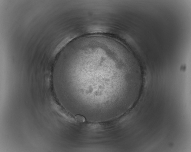 X0000112091217200908111344