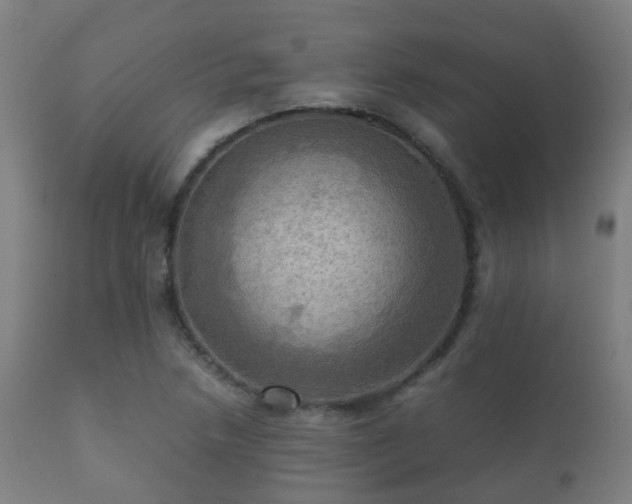 X0000112091218200908111344