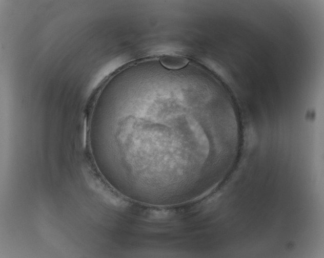 X0000112091219200908111344