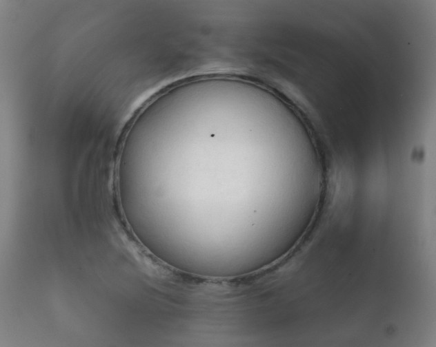 X0000112091220200908111344