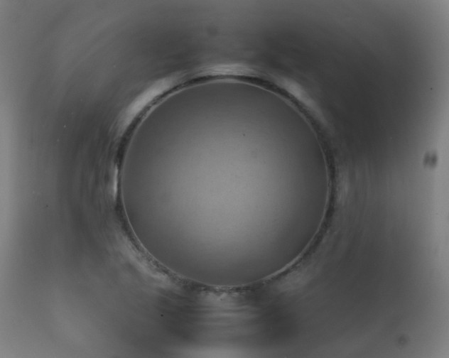 X0000112091221200908111344