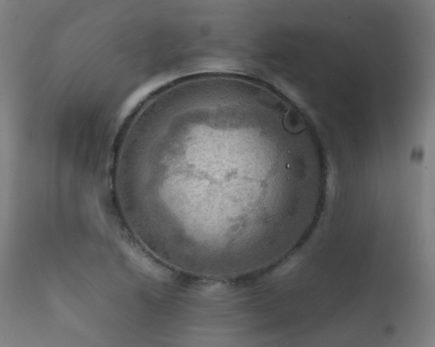 X0000112091222200908111344