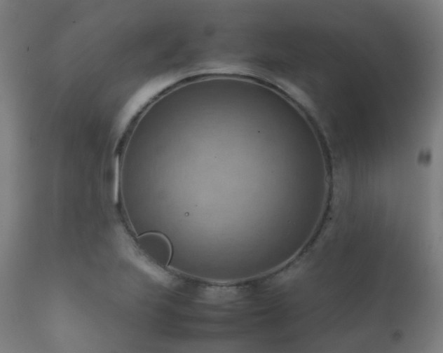 X0000112091223200908111344