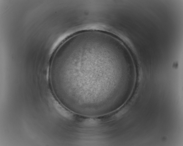 X0000112091224200908111344