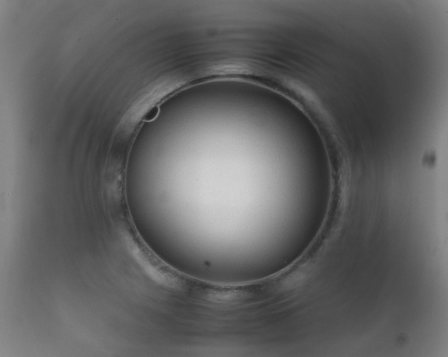 X0000112091225200908111344