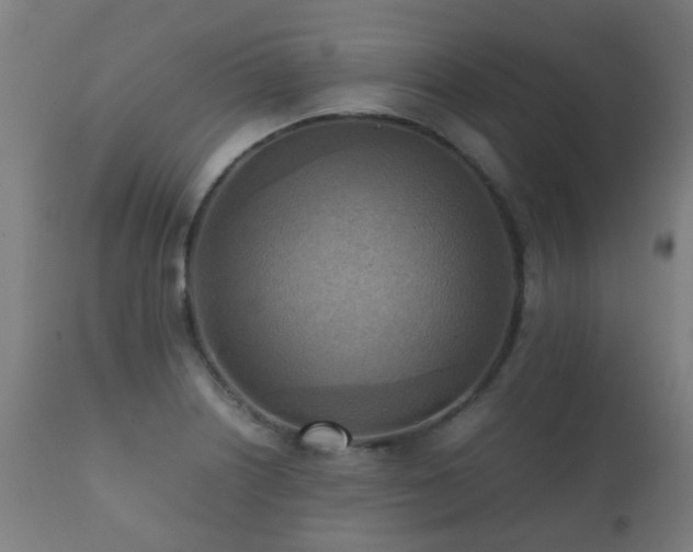 X0000112091226200908111344