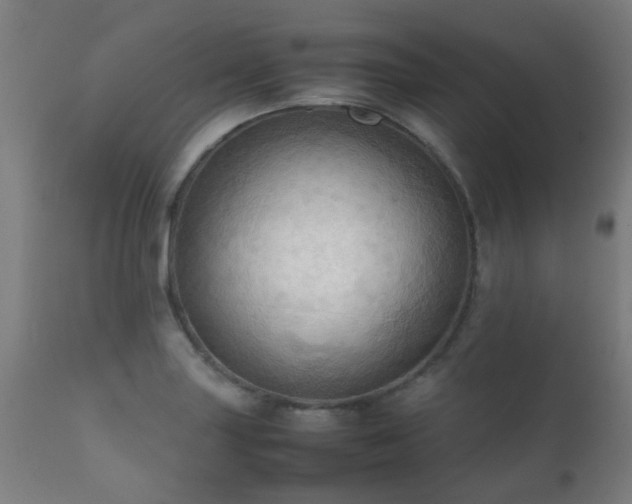 X0000112091227200908111344