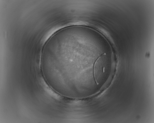 X0000112091228200908111344