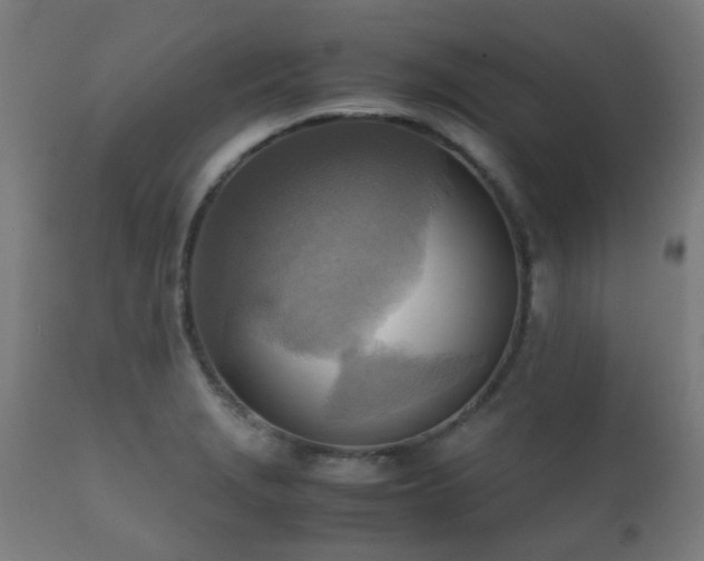 X0000112091229200908111344