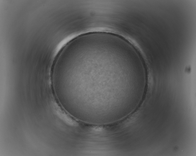 X0000112091230200908111344