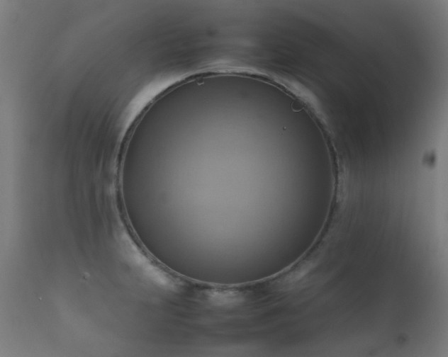 X0000112091231200908111344