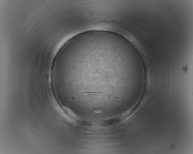 X0000112091232200908111344