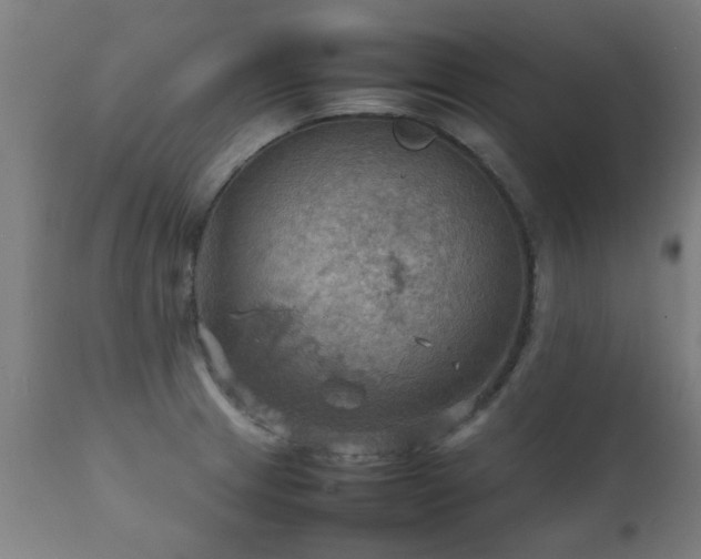 X0000112091233200908111344