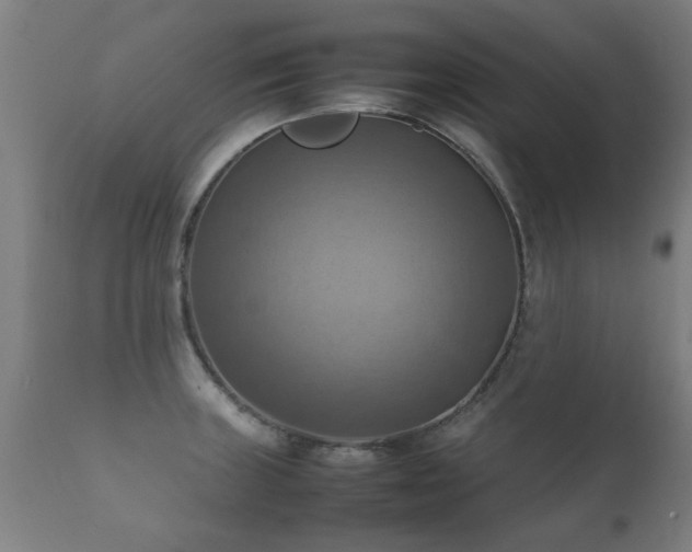 X0000112091235200908111344