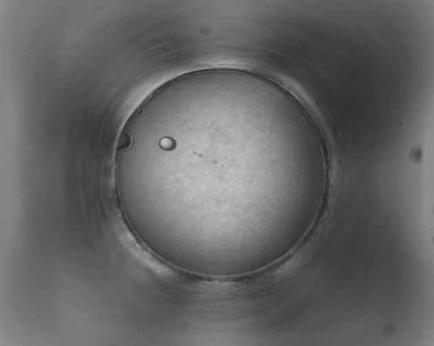 X0000112091236200908111344